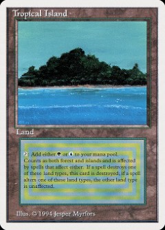 🔥 Tropical Island Summer Edition